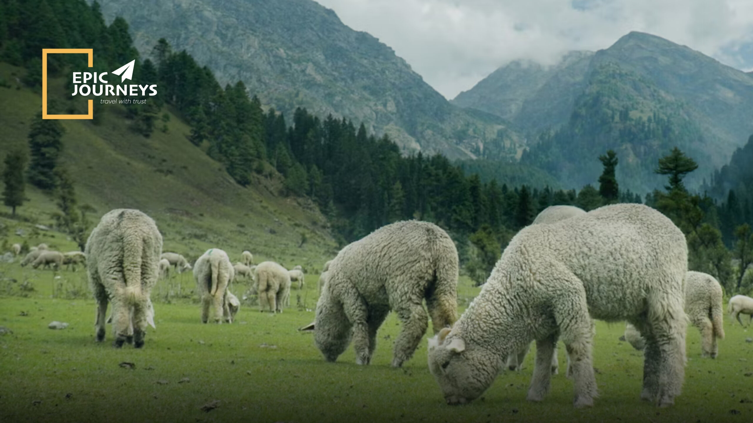 Pahalgam KASHMIR TRIP